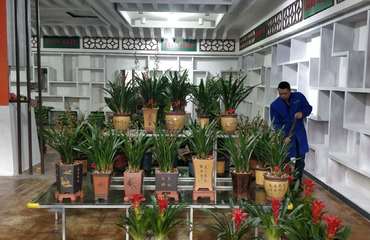 富优美专业园林绿化 花卉绿植租赁、批发零售与南昌盆栽养护管理工程