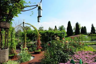 园林管理 规划、施工与维护的综合性艺术