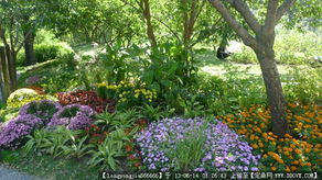 园林绿化施工 从图纸到实景的全程指南与资源整合