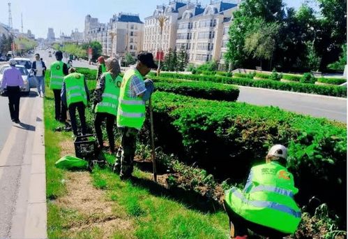 园林绿化服务中心 精雕细琢城市绿脉，全力做好美化工作为城市提质添彩