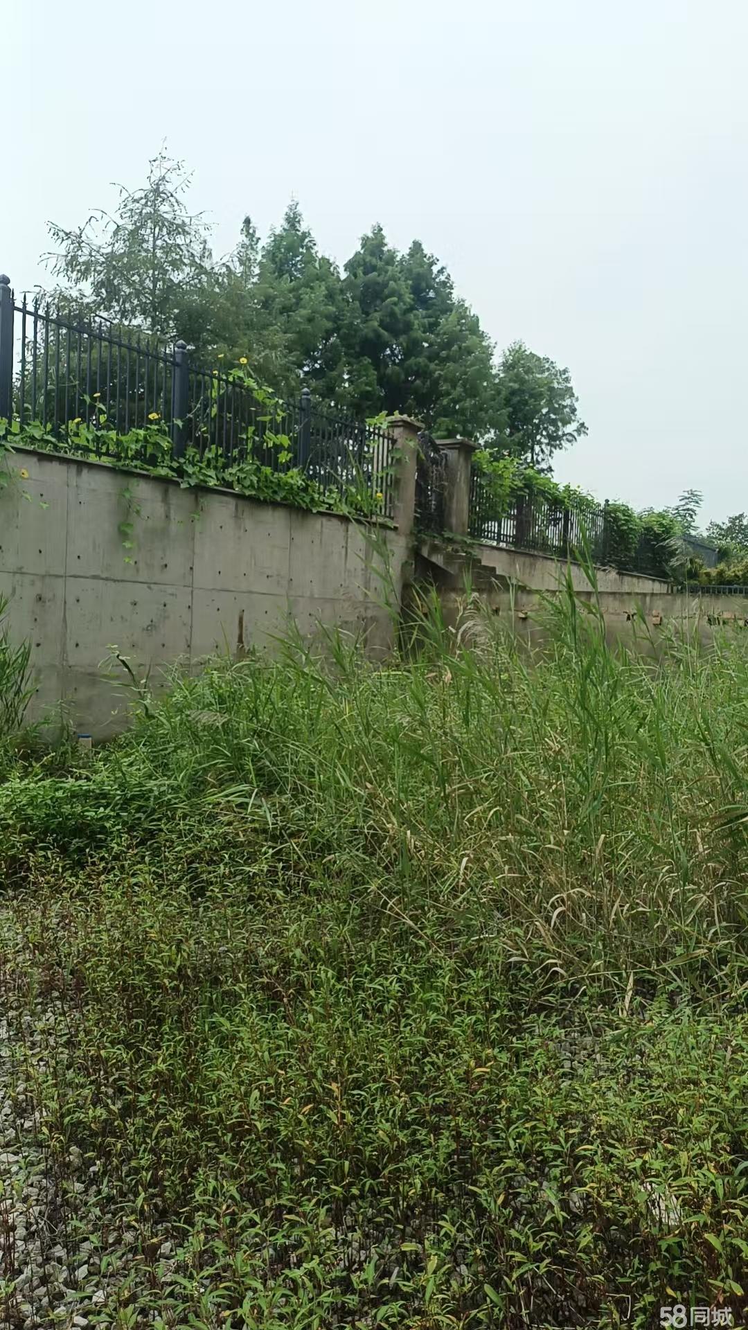 淮安绿植花卉租摆与绿化施工全流程解析