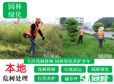 阜宁庭院与别墅花园绿化设计施工 打造生态与美观并重的园林景观